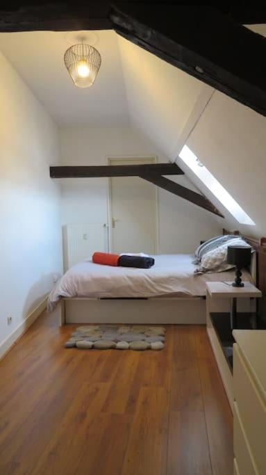 Loft De 53 M2 Centre Ville Blois,Tv Buitenkant foto