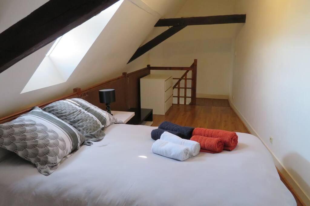 Loft De 53 M2 Centre Ville Blois,Tv Buitenkant foto