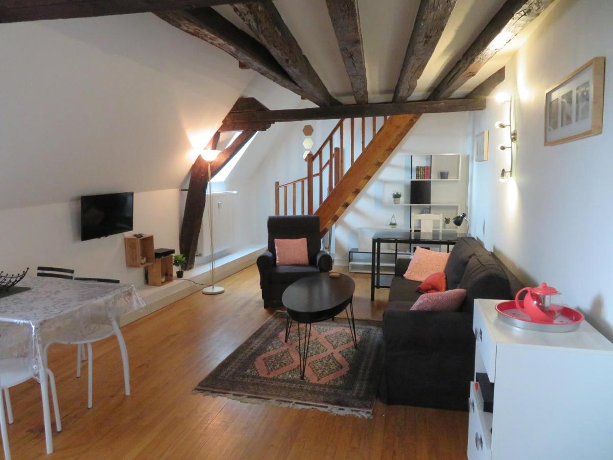 Loft De 53 M2 Centre Ville Blois,Tv Buitenkant foto